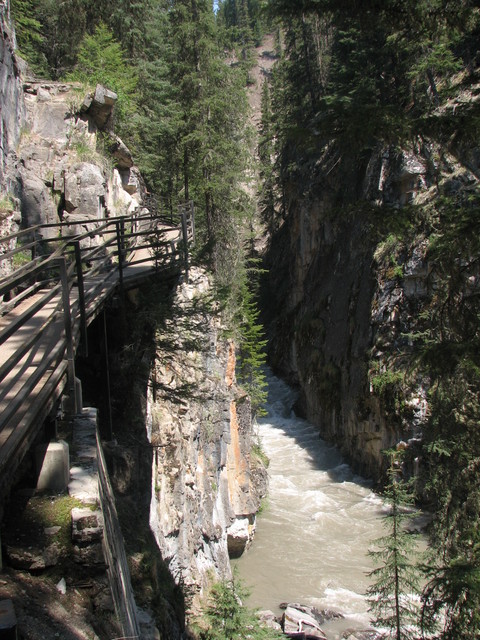 The trail along Johnston Canyon