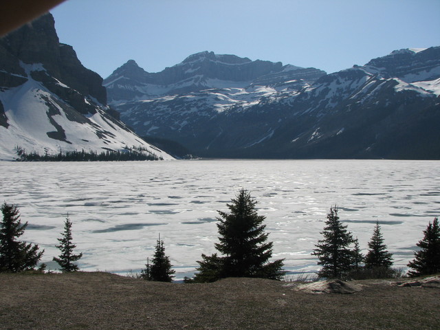 Bow lake, further north along the highway.