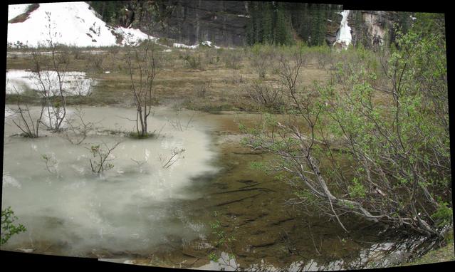 Here the creek from the mountains merges with the silty water in Lake Louise