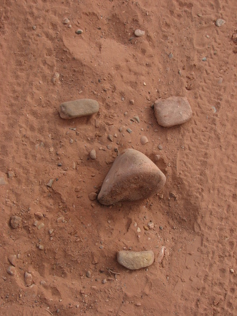 nose in the sand