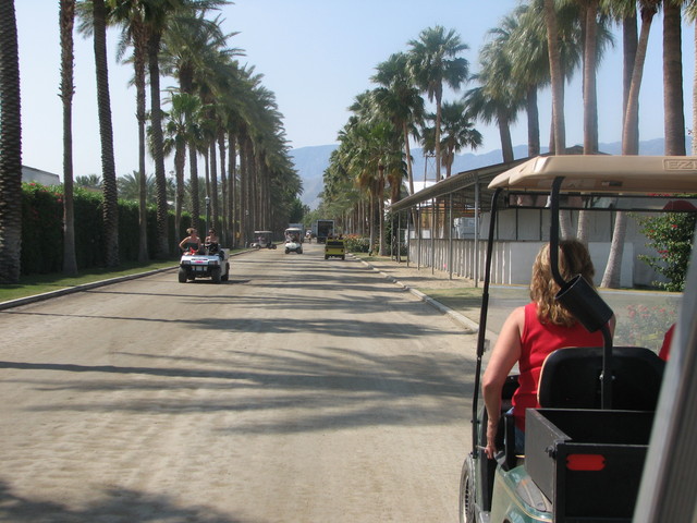 img_7370.jpg: Lots of golf carts